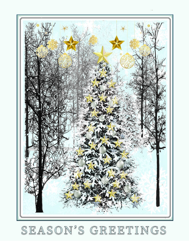 Fir Tree in the Forest greeting card. Design by Kathryn Hanson, ShutteredEye.